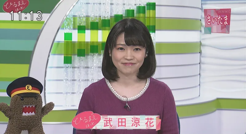 武田涼花アナがかわいい 出身高校大学は Nhkさいたま 女性アナウンサー大図鑑