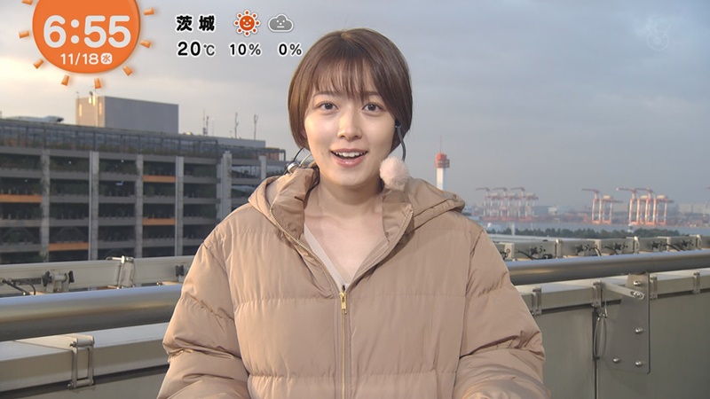テレビ 2020 めざまし お天気 キャスター